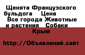 Щенята Французского бульдога. › Цена ­ 45 000 - Все города Животные и растения » Собаки   . Крым